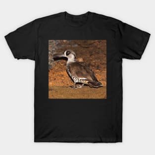 Pink Eared Duck - by South Australian artist Avril Thomas at Magpie Springs T-Shirt